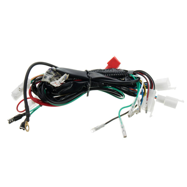 Electric Engine Start Wiring Loom Harness Pit Bike Motorcycle ATV Quad 70cc 90cc 110cc 125cc