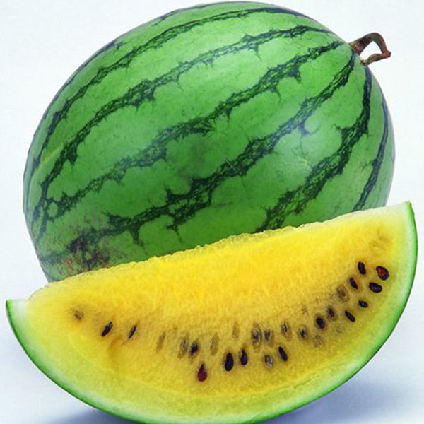 20Pcs Watermelon Multi-color Flesh Magic Garden Seeds Summer Cool Fruit Garden Farm Landscape