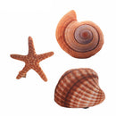 Marine Life Plush Pillows Conch & Shell & Starfish Stuffed Plush Toy Cute Cushion Dolls