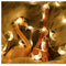 10M Moon Shape Warm White Colorful 100 LED String Fairy Holiday Light Home Decor EU Plug AC220V
