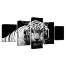 5PCS Modern Home Bedroom Wall HD White Tiger Art Picture Spray Painting Wall Sticker