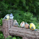 6pcs Little Bird Set Detailed Resin Garden Ornaments Decorations Patio Door Pond