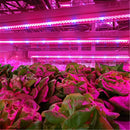 2pcs 550 RGB Non-Waterproof LED Hard Rigid Strip Bar Glow Plant Light with AC Adapter AC85-265V