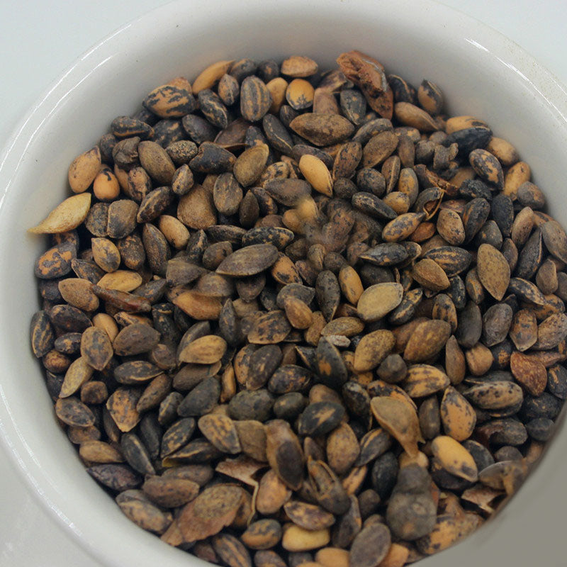 Egrow 60PCS/Bag Thunbergii Garden Black Pine Tree Seeds Flores Potted Plants Japanese Pine Tree