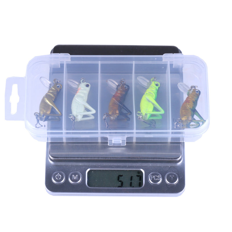KC005-X 5Pcs/Set 3.5cm 3g Cricket Lure Insect Bait Fishing Lure Hard Bait Isca Artificial Lure