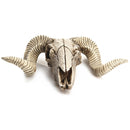 Skull Sheep Head Realistic Animal Resin Wall Art Sculpture Wall Hanging Decorations
