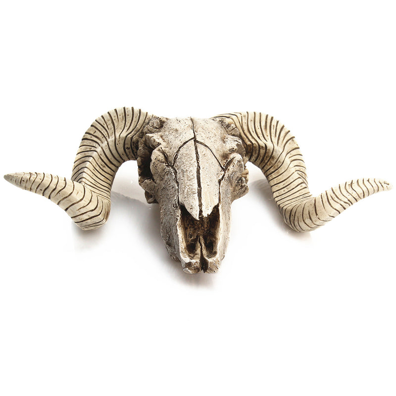 Skull Sheep Head Realistic Animal Resin Wall Art Sculpture Wall Hanging Decorations