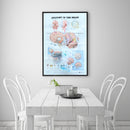 Human Anatomy of the Brain Poster Anatomical Chart Human Body Medical Education