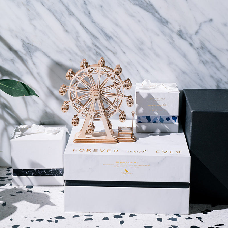 Woodcraft Construction Kit Ferris Wheel Wooden Model Jigsaw 3D Puzzle Toy for Kids Adults