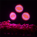 E27 30CM Three Heads Bulb Adapter Lampholder Clip With Switch for Grow Plant Light Bulb