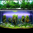 Transparent Landscaping Instant Strong Glue Aquatic Plants Block & Stone Coral Rock Adhesive Glue for Aquarium Water Plant Glue Fish Tank