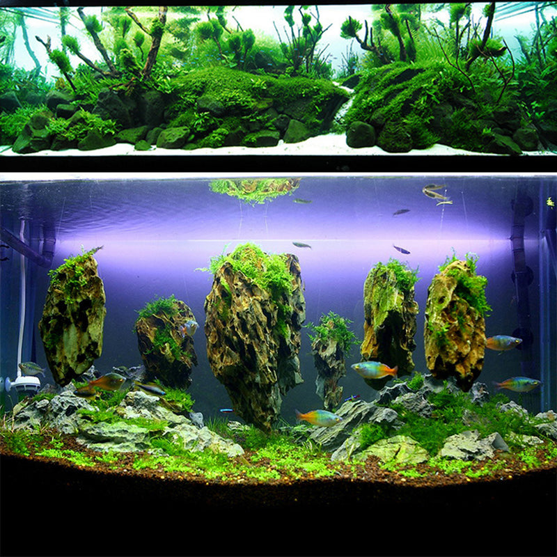 Transparent Landscaping Instant Strong Glue Aquatic Plants Block & Stone Coral Rock Adhesive Glue for Aquarium Water Plant Glue Fish Tank
