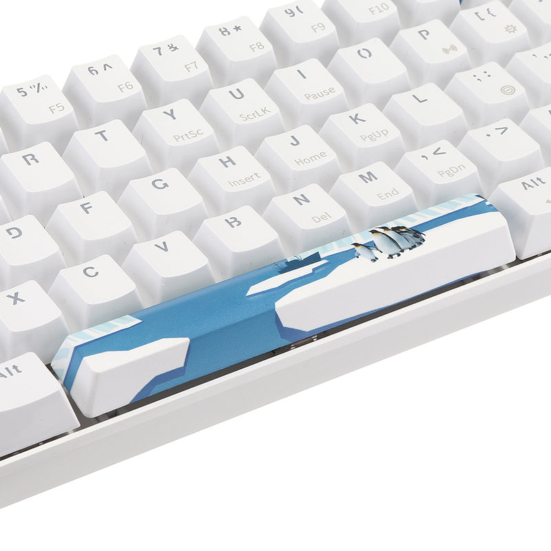 Five-sided Dyesub PBT OEM Profile Antarctic Penguin Space Bar 6.25u Novelty Keycap + ESC Enter Keycaps