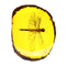 Amber Fossil Insects Dragonfly Manual Polishing Insect Specimens Decorations