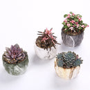 4Pcs/set Ceramic Natural Stone Style Flower Succulent Planting Pot Garden Decor