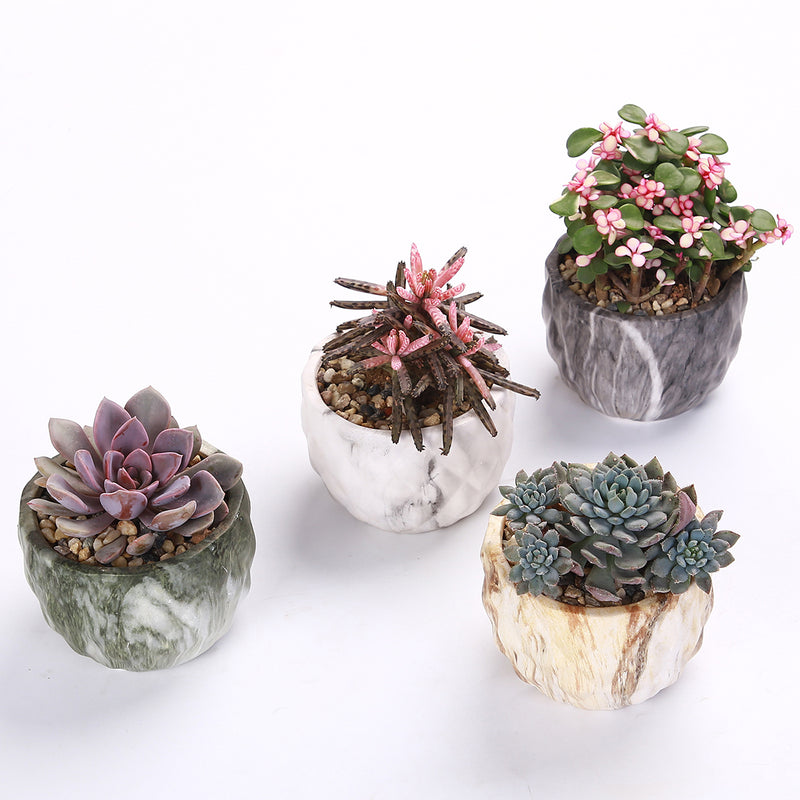 4Pcs/set Ceramic Natural Stone Style Flower Succulent Planting Pot Garden Decor