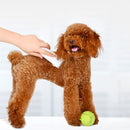 Pawbby Pets USB Rechargable Hair Trimmers Professional Dog/Cat Pet Grooming Electrical Pets Hair Clippers Pets Shaver From Xiaomi Youpin