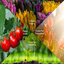 4 Heads 72 LED 36W Plant Growing Lamp Flower Grow Light for Indoor Hydroponics