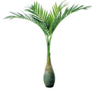 Egrow 20 Pcs Exotic Bottle Palm Seeds Bonsai Tropical Ornamental Tree Plant Seeds Garden Planting