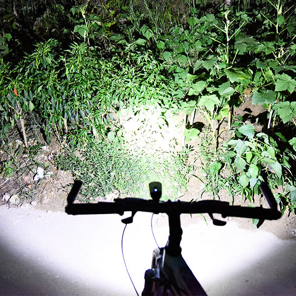 XANES SFL03 600LM XPGLED German Standard Smart Induction Bicycle Light IPX4 USB Rechargeable Large F