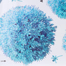 Wall Stickers Vinyl Decal Mural Home Room Decoration DIY Picture Removable