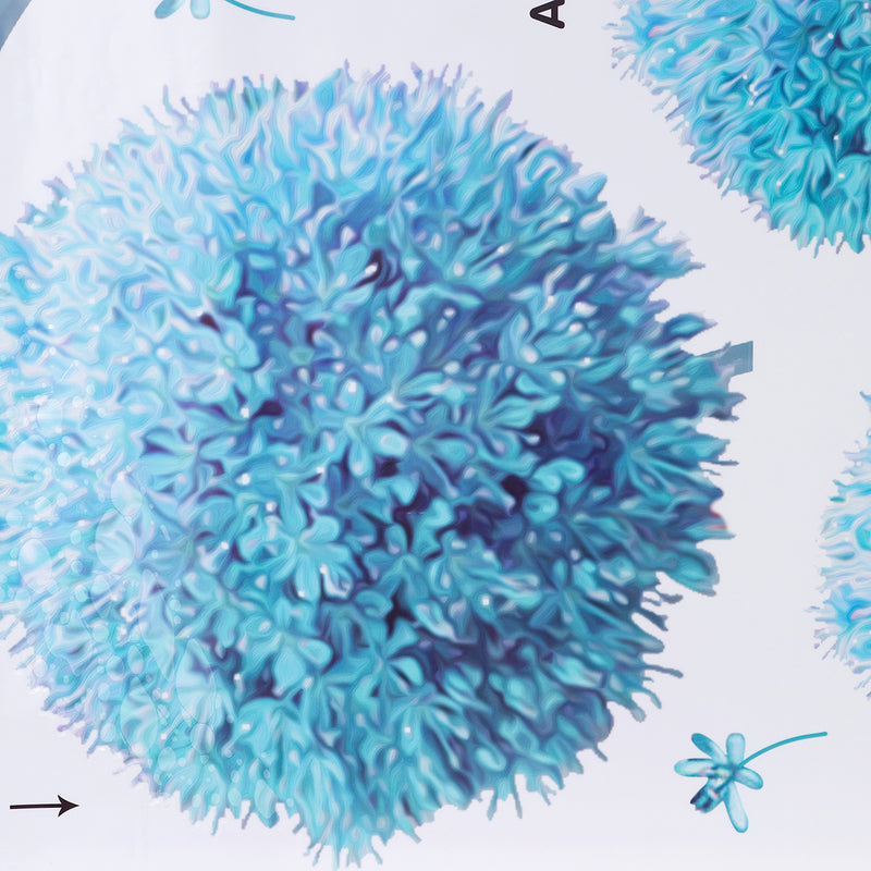 Wall Stickers Vinyl Decal Mural Home Room Decoration DIY Picture Removable