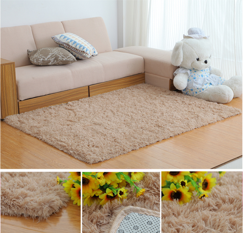 80x160cm Bedroom Living Room Soft Shaggy Anti Slip Carpet Absorbent Mat