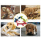 Durable Dog Chew Sound Squeaky Toy Bite Resistant Toys Plush Linen Pet Toys Puppy