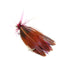 ZANLURE 32pcs Mixed Trout Flies Lure Fly Fishing Tackle with Box