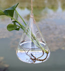 Hanging Water Drop Shaped Glass Hydroponics Flower Vase Home Garden Wedding Party Decoration