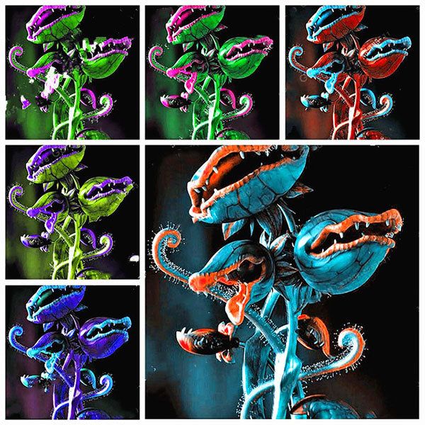 Egrow 100Pcs/Pack Flytrap Seeds Garden Potted Dionaea Muscipula Giant Carnivorous Plant Seeds