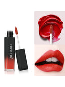 HENGFEI 6 Color Velvet Matte Waterproof And Durable Lip Gloss