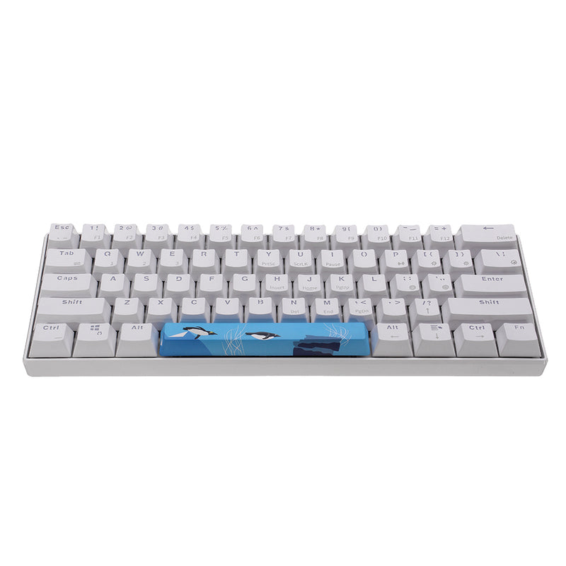 Five-sided Dyesub PBT OEM Profile Penguin Space Bar 6.25u Novelty Keycap for GK61 Black Case and Cherry MX Switch Keyboard