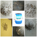 IPRee LED Silent Mosquito Dispeller Lamp Non-radiative Insect Killer Lamp Camping Night Light