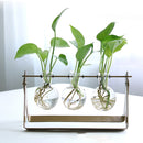 Desktop Glass Planter Bulb Vase with Classic Solid Iron Stand and Metal Swivel Holder for Hydroponics Plants Home Garden Wedding Decor