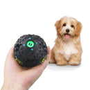 Pet Dog Tough Treat Training Toys Chew Sound Activity Squeaky Ball Chew