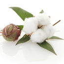 Egrow 50Pcs/Pack White Cotton Seeds Home Garden Farm Crops Plants DIY Bonsai Tree Seeds
