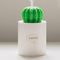 SOTHING 306B 280ML Cactus USB Mini Humidifier Ultrasonic Aromatherapy Car Humidifier Air Diffuser Mist Maker for Home Office
