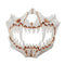 Halloween Resin Mask Animal Theme Party Face Skull Mask Costume Cosplay Party