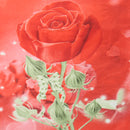 4Pcs 3D Rose Printed Bedding Sets Quilt Cover Bed Sheet Pillowcases Duvet Cover