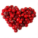 Egrow50Pcs/Bag Wild Cranberry Seeds Vaccinium Cherry Bearberry Fruit Seeds Blueberry Garden Seeds
