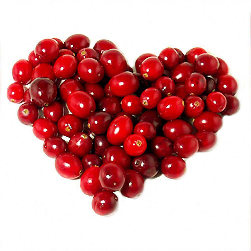 Egrow50Pcs/Bag Wild Cranberry Seeds Vaccinium Cherry Bearberry Fruit Seeds Blueberry Garden Seeds