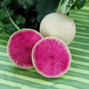 Egrow 100Pcs/Pack Red Radish Seeds Garden Kitchen Vegetable Plants White Radish Seeds
