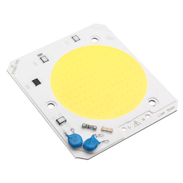 LUSTREON 30W 40W 50W DIY COB LED Light Chip Bulb Bead For Flood Light AC110/220V