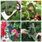 Garden Plant Branch Tape Tool Tying Machine Stem Strapping Tapener With Tape
