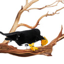 Magpie Bait Shooting Trap Decoying Hunting Decoy Bird For Garden Decorations
