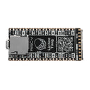 Lichee Tang 64Mbit SDRAM RISC-V Development Board Mini PC + FT2232D JTAG USB RV Debugger
