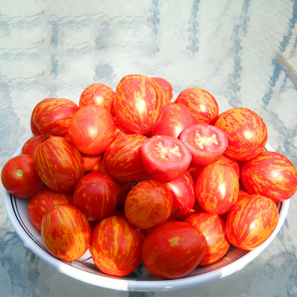 Egrow 100Pcs/Pack Red Green Yellow Tomato Seed Greenhouse Potted Organic Vegetable& Fruit Seeds