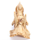Resin Model Triceratops Dinosaur Skull Head Teaching Bone Collectible Craft Gift Decorations