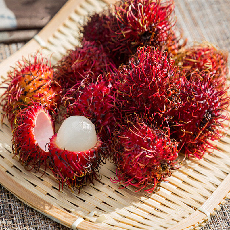Egrow 5Pcs/Pack Rambutan Seeds Red Fruits Bonsai Plants Home Garden Ornamental Trees